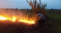 Kebakaran lahan di Muaro Jambi