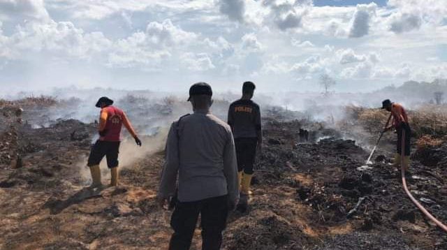 Kebakaran hutan dan lahan di Tanjung Jabung Timur