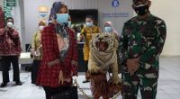 Opsetan harimau Sumatera
