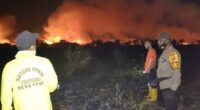 Kebakaran lahan di Muarojambi