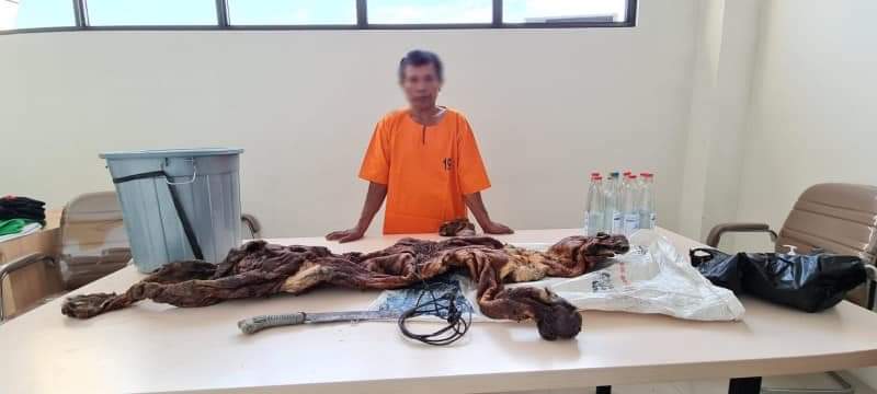 Perdagangan kulit harimau Sumatera