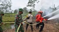 Latihan penanggulangan bencana di Jambi