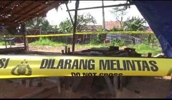 Tempat pengolahan kayu di Muaro Jambi