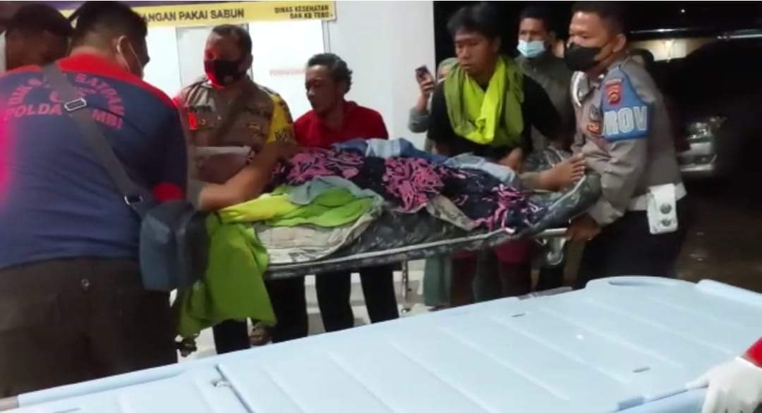 Warga Tebo diinjak gajah