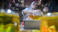 Harga minyak goreng di Provinsi Jambi