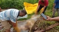 Mayat dalam karung di Bungo
