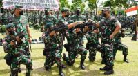 TNI tewas ditembak di Papua