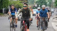 Gowes