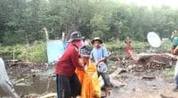 Warga Kumpeh diterkam harimau