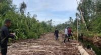 Illegal Logging di Muaro Jambi