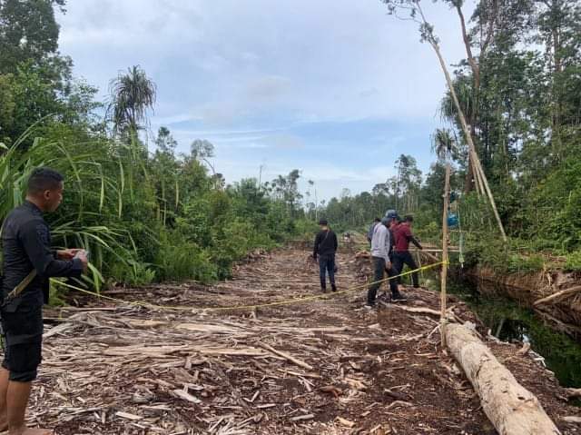 Illegal Logging di Muaro Jambi