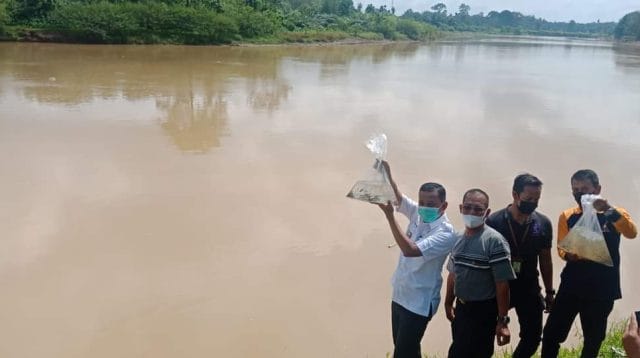 Penambangan emas ilegal di Bungo