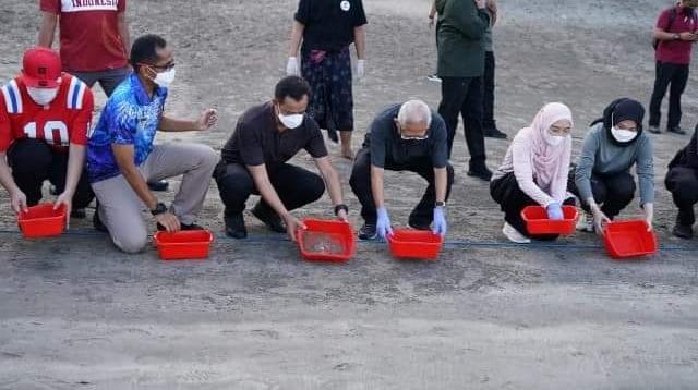 Wapres lepas tukik