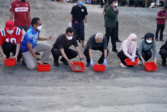 Wapres lepas tukik