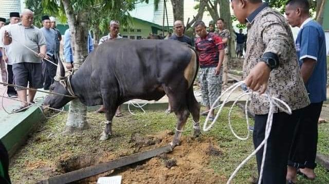 Hewan qurban di Kota Jambi