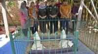 makam Sultan Thaha Fatahillah