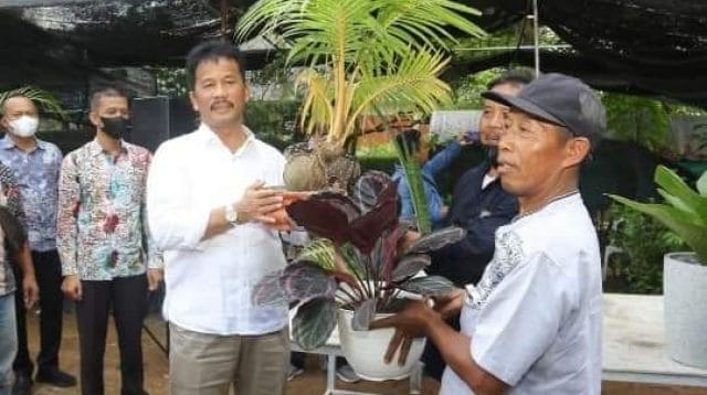 Jalan utama di Kota Batam akan diperlebar