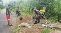 Pembuatan tugu batas desa