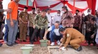 Kabupaten Tebo akan produksi minyak makan