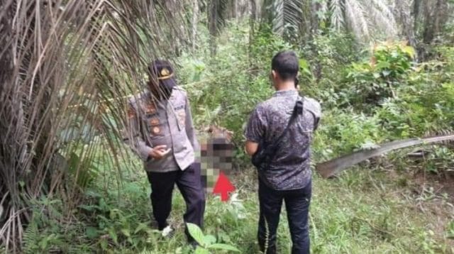 Penemuan mayat di Bungo