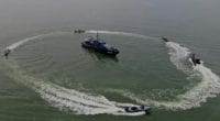 Bea Cukai Batam