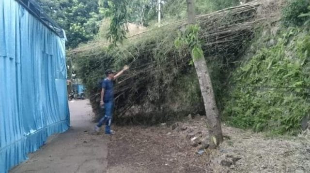 Pohon tumbang di Kota Bogor