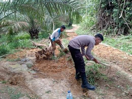 Polisi Rimba