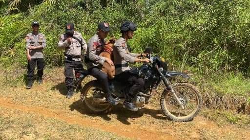 Siswa SMA hilang di area pertambangan di Sarolangun